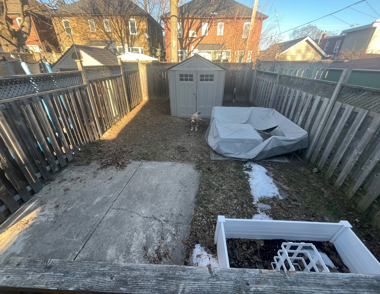 Backyard Landscape Transformation before
