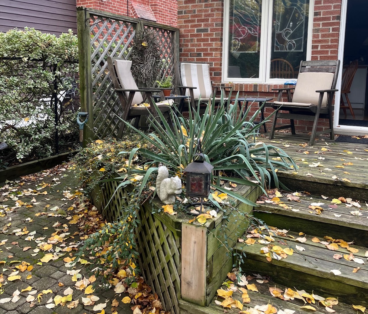 Yard Makeover before